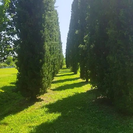 Alloggio in famiglia Fontana